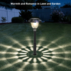 Landscape Decorative LED Solar Garden Light