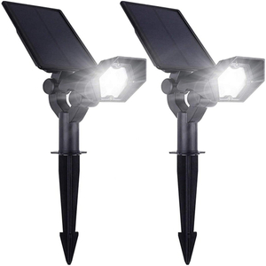 Solar Garden Lamp with 6 LED Bleads