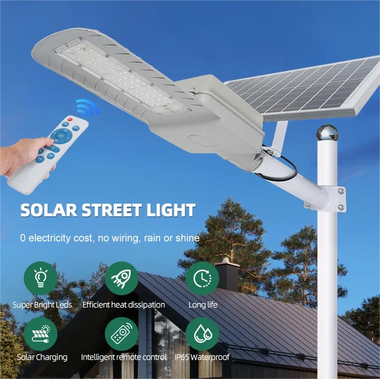 solar street light