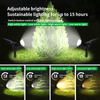 Adjustable Brightness Solar Garden Light