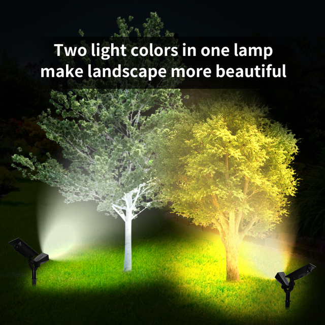 Warm And Cold White Solar Garden Light